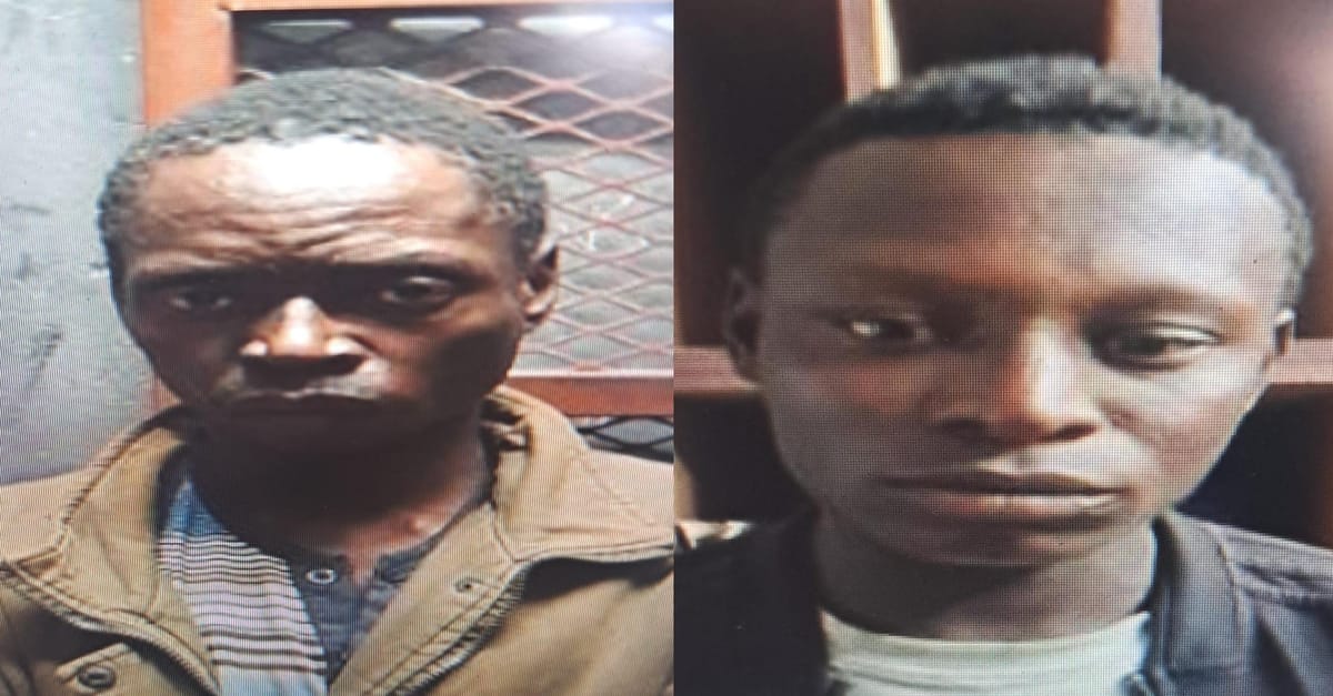Two men sentenced to ten years for stock theft in Northam